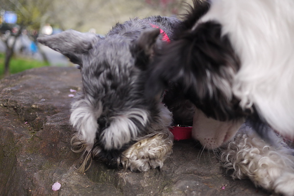 P1020182-fix.jpg P1020182-fix.jpg