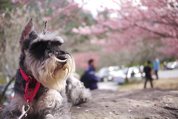 P1020186-fix.jpg P1020186-fix.jpg