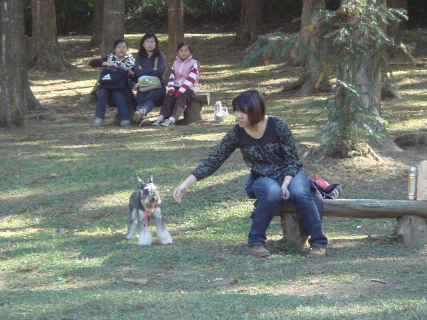 DSC09840.JPG DSC09840.JPG