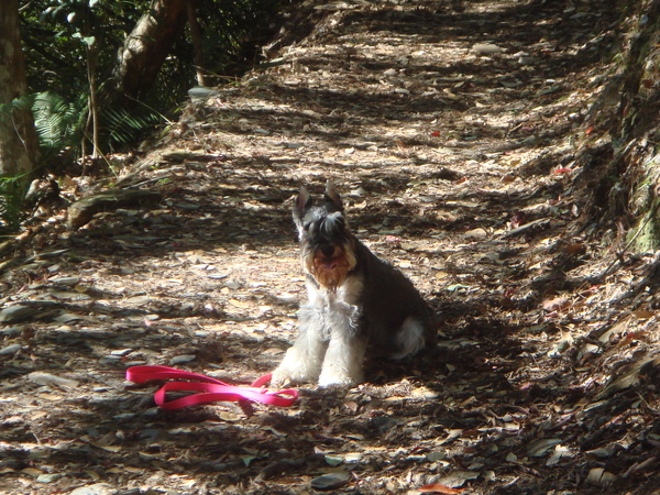 DSC09815.JPG DSC09815.JPG