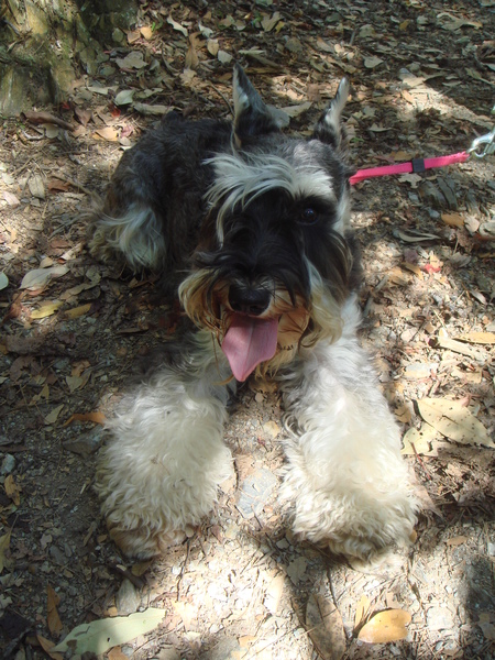 DSC09820.JPG DSC09820.JPG