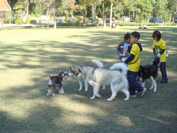 DSC09832.JPG DSC09832.JPG