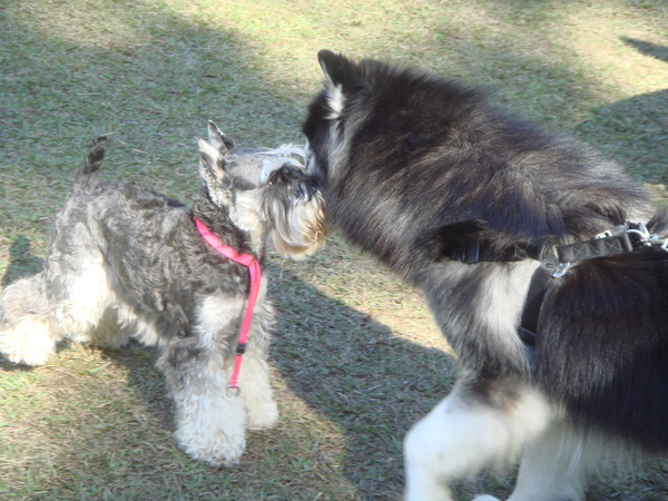 DSC09833.JPG DSC09833.JPG