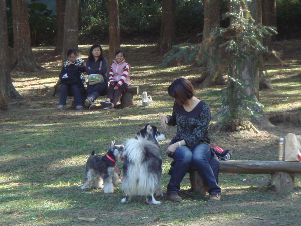 DSC09839.JPG DSC09839.JPG