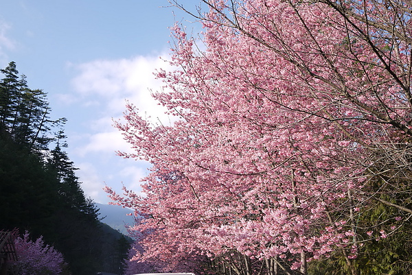 P1020242-fix.jpg P1020242-fix.jpg