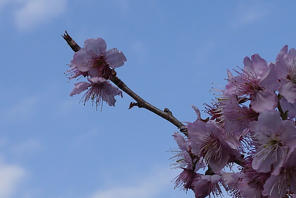 P1020208-fix.jpg P1020208-fix.jpg