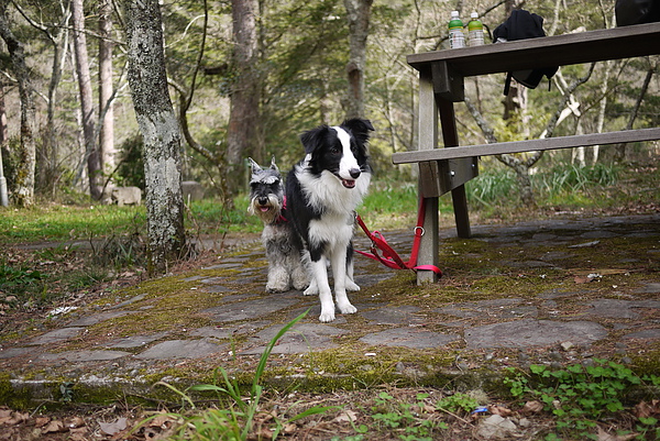 P1020138-fix.jpg P1020138-fix.jpg