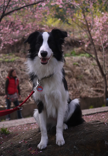 P1020161-fix.jpg P1020161-fix.jpg