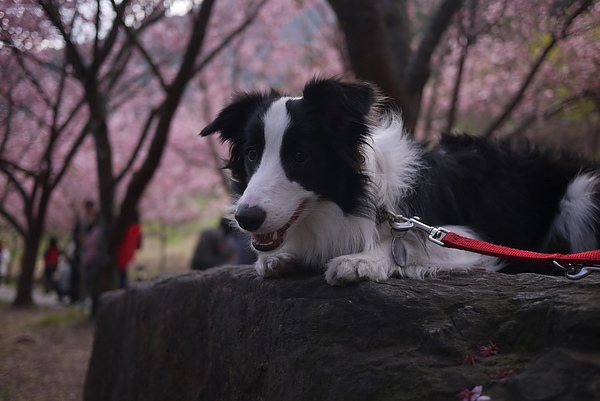 P1020165-fix.jpg P1020165-fix.jpg