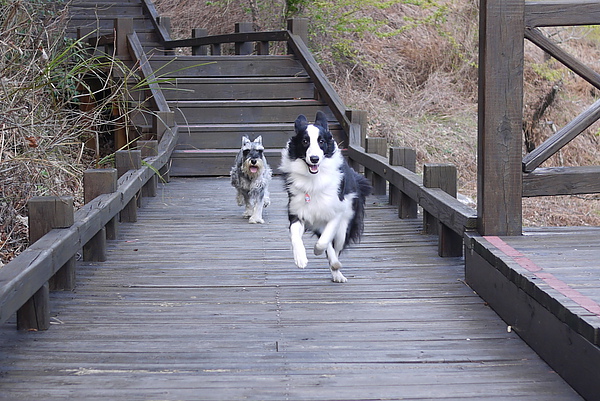 P1020226-fix.jpg P1020226-fix.jpg