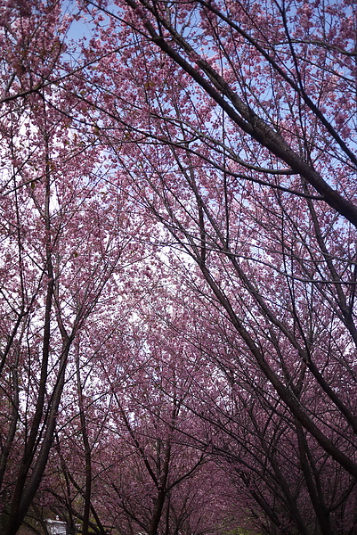 P1020189-fix.jpg P1020189-fix.jpg