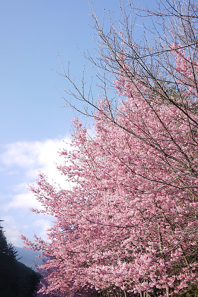 P1020241-fix.jpg P1020241-fix.jpg