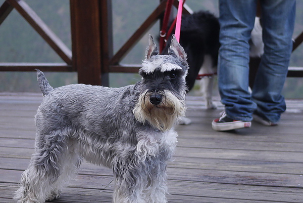 P1020254-fix.jpg P1020254-fix.jpg