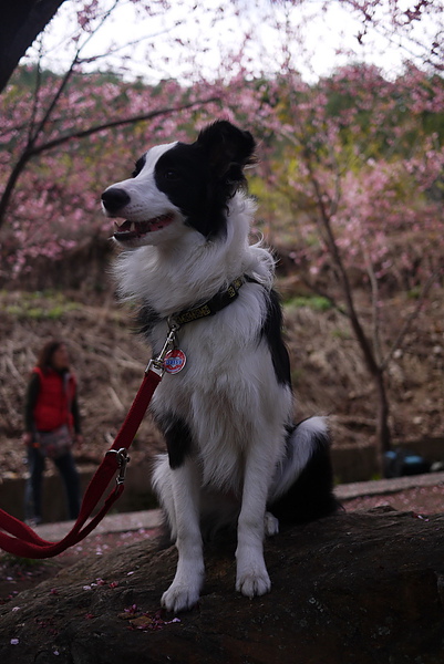 P1020159-fix.jpg P1020159-fix.jpg