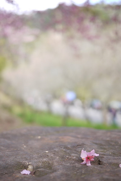 P1020181-fix.jpg P1020181-fix.jpg