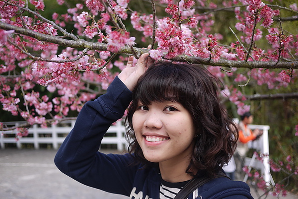 P1020199-fix.jpg P1020199-fix.jpg