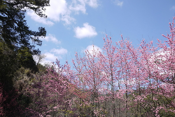 P1020079-fix.jpg P1020079-fix.jpg