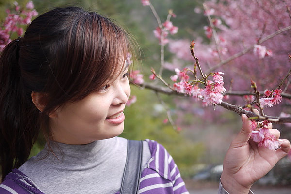 P1020202-fix.jpg P1020202-fix.jpg