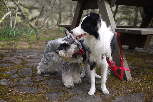 P1020139-fix.jpg P1020139-fix.jpg