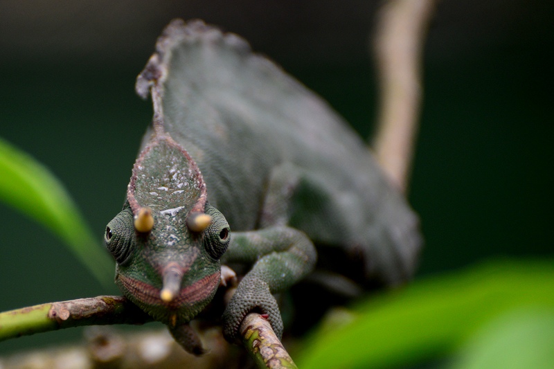 13994006695_cfa4246ffa_o