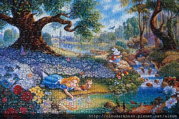 P5033464.JPG P5033464.JPG