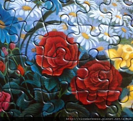 P5033473.JPG P5033473.JPG