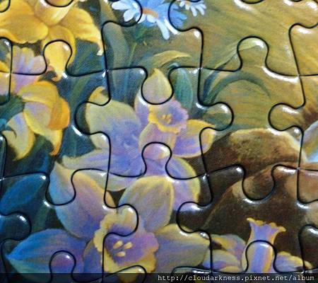 P5033474.JPG P5033474.JPG