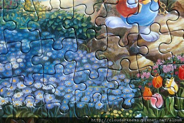 P5033480.JPG P5033480.JPG