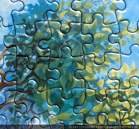 P5033477.JPG P5033477.JPG