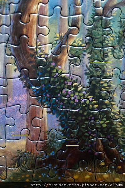 P5033487.JPG P5033487.JPG