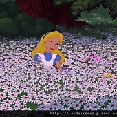 alice 人物對照 (1).JPG
