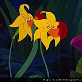 alice 人物對照 (13).JPG alice 人物對照 (13).JPG