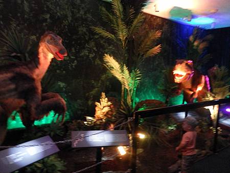 SAM_0486.JPG SAM_0486.JPG