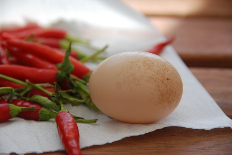 DSC_5716.JPG DSC_5716.JPG