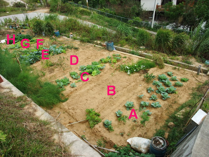 DSCF7225-1.JPG DSCF7225-1.JPG