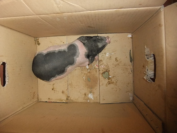 DSCF2183.JPG DSCF2183.JPG