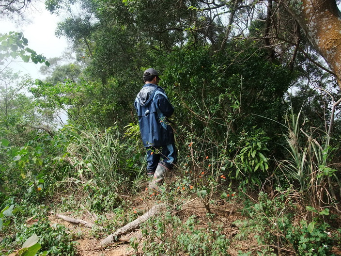 DSCF3488.JPG DSCF3488.JPG