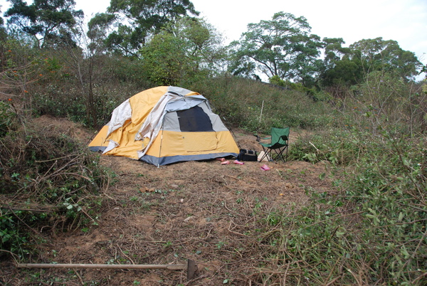 DSC_3290.JPG DSC_3290.JPG