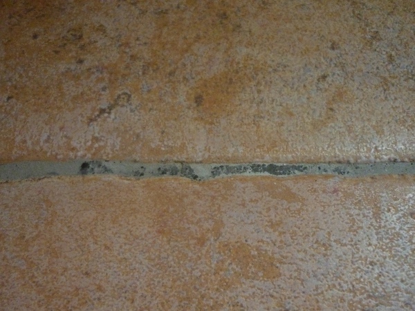 P1070196.JPG P1070196.JPG