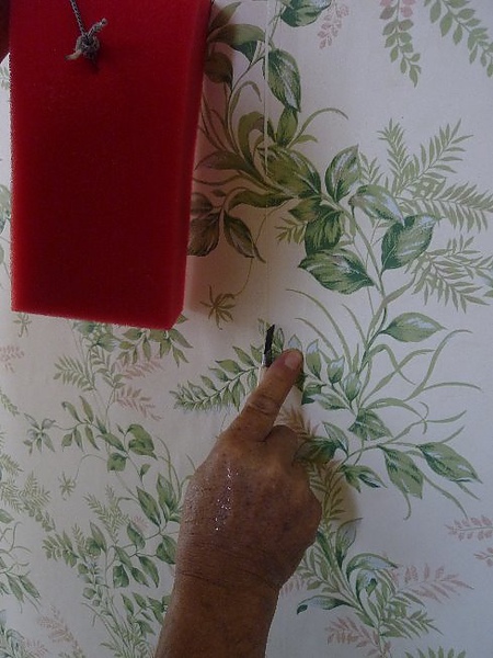 P1160972.JPG P1160972.JPG