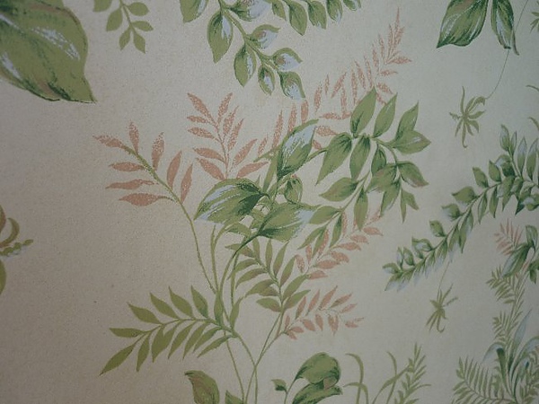 P1160995.JPG P1160995.JPG