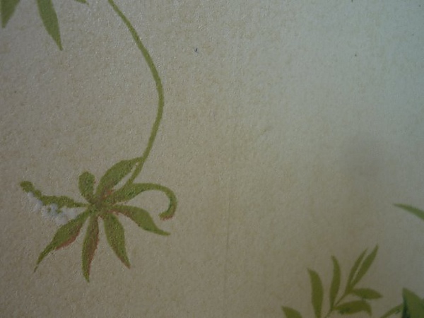 P1160997.JPG P1160997.JPG