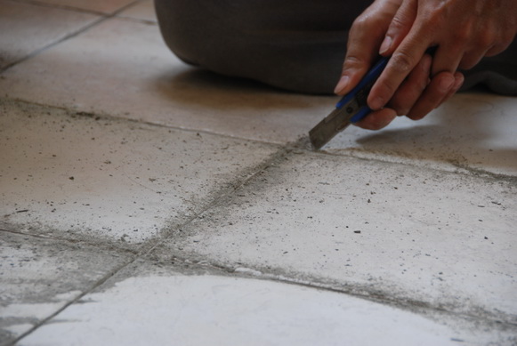 DSC_3382.JPG DSC_3382.JPG