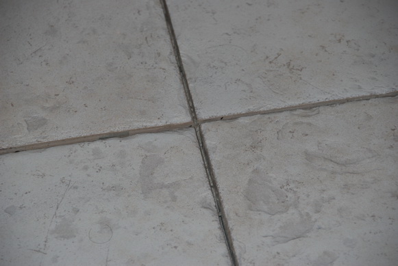 DSC_2879.JPG DSC_2879.JPG