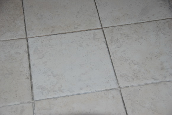 DSC_2877.JPG DSC_2877.JPG