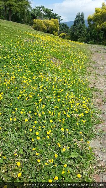 20141002_121157 20141002_121157