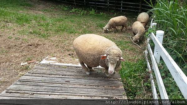 20141002_121728 20141002_121728