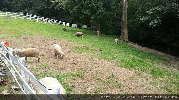 20141002_121738 20141002_121738