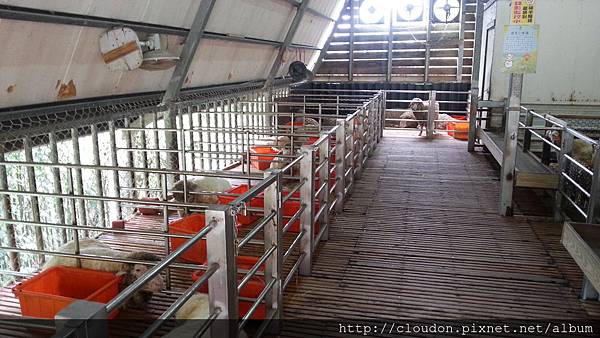 20141002_121755 20141002_121755