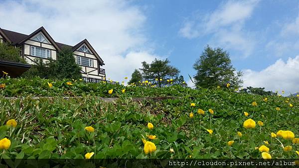 20141002_123250 20141002_123250